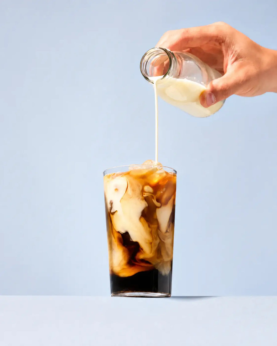 Iced Cold Brew Latte